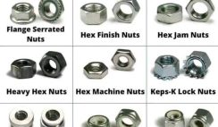 Popular Type of Nuts and Uses